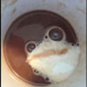 Meet your Posher, Tom